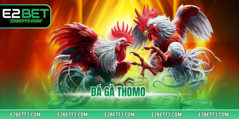 Đà Gà Thomo - Cược Đá Gà Trực Tiếp Siêu Kịch Tính Tại E2BET