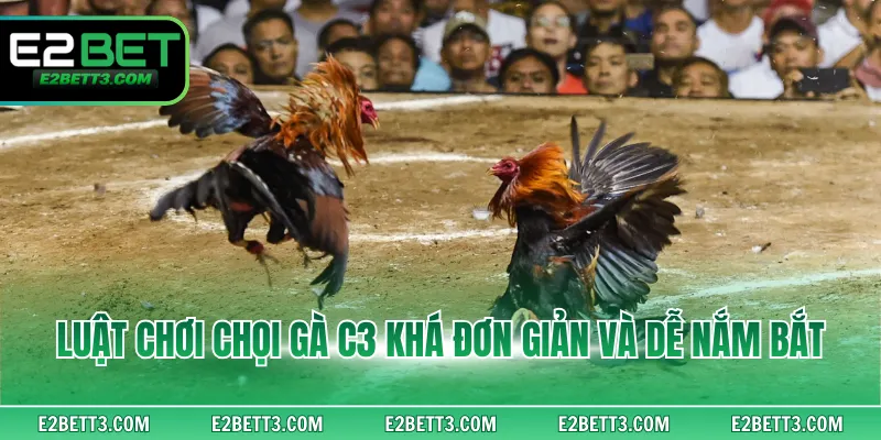 Luật chơi chọi gà C3 khá đơn giản và dễ nắm bắt